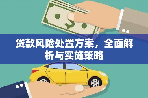 蒙阴贷款风险处置方案，全面解析与实施策略