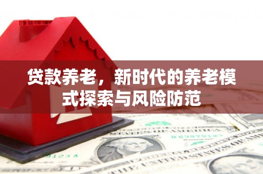 蒙阴贷款养老，新时代的养老模式探索与风险防范
