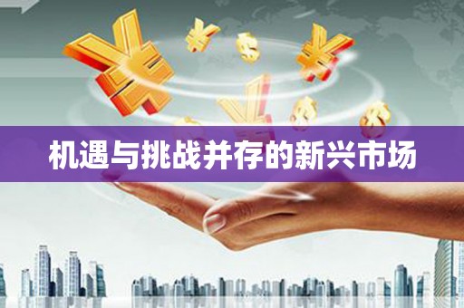 蒙阴机遇与挑战并存的新兴市场