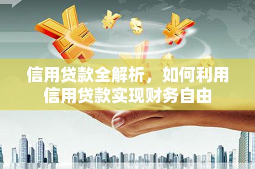 蒙阴信用贷款全解析，如何利用信用贷款实现财务自由