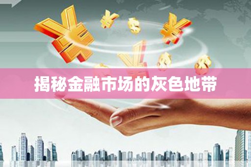 蒙阴揭秘金融市场的灰色地带