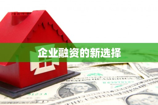 蒙阴企业融资的新选择