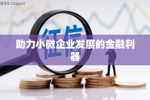 蒙阴助力小微企业发展的金融利器