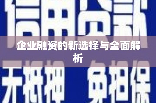 蒙阴企业融资的新选择与全面解析
