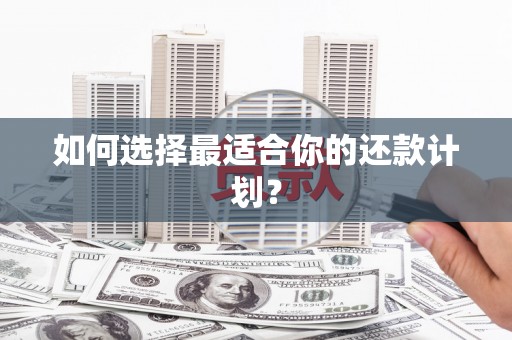 蒙阴如何选择最适合你的还款计划？