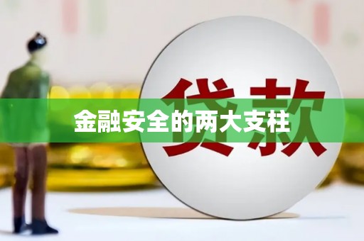 蒙阴金融安全的两大支柱