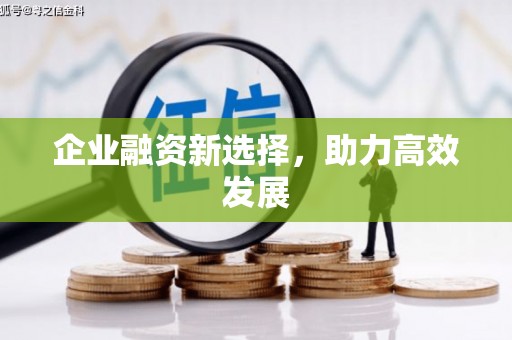 蒙阴企业融资新选择，助力高效发展