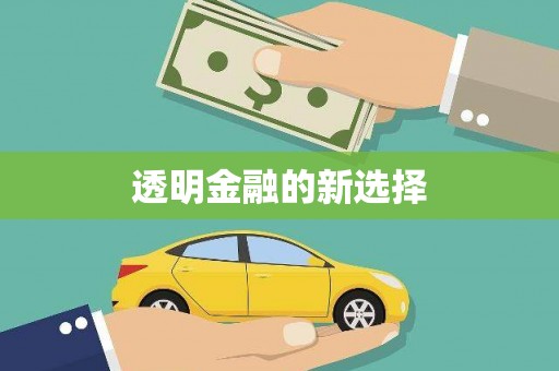 蒙阴透明金融的新选择