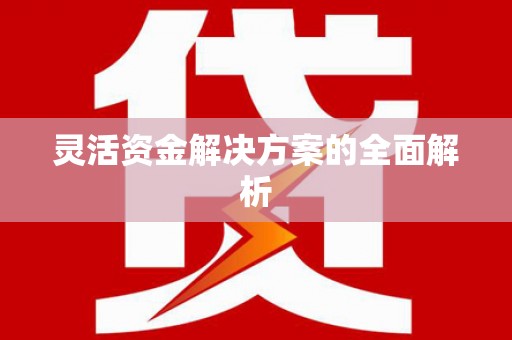 蒙阴灵活资金解决方案的全面解析