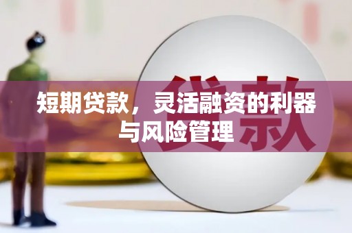 蒙阴短期贷款，灵活融资的利器与风险管理
