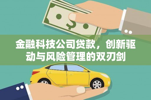 蒙阴金融科技公司贷款，创新驱动与风险管理的双刃剑