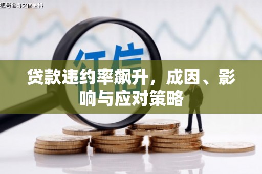 蒙阴贷款违约率飙升，成因、影响与应对策略